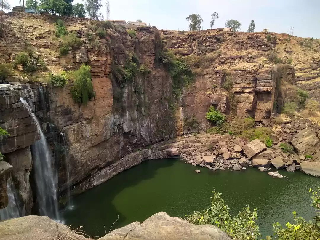 Photo of Shopper's Delight: G