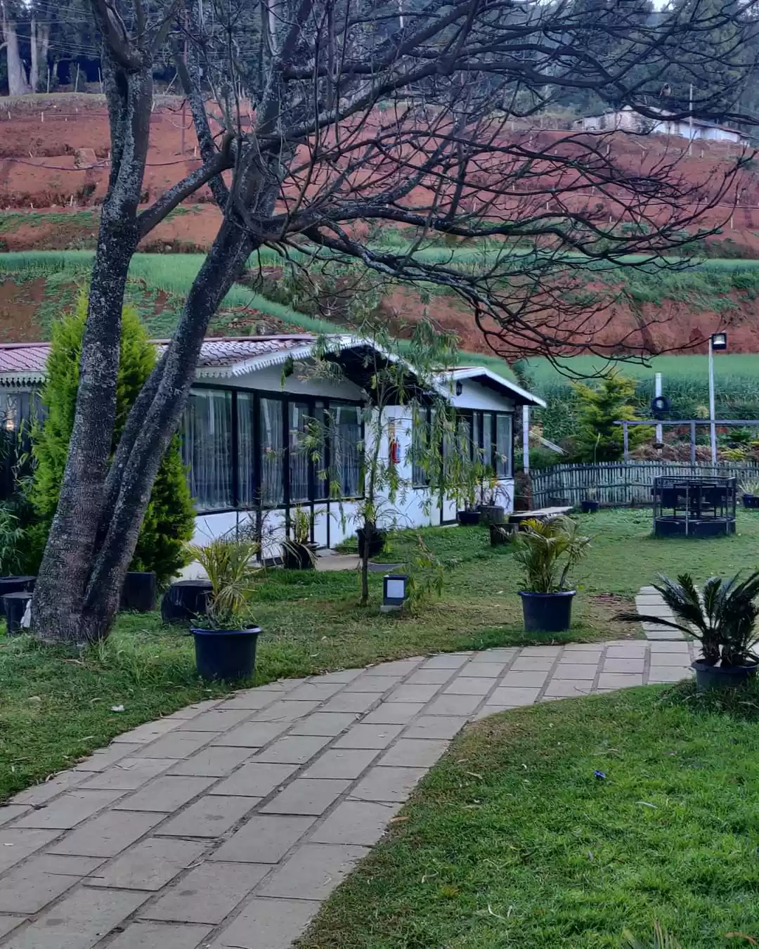 Photo of Ooty and Coonor : Sc