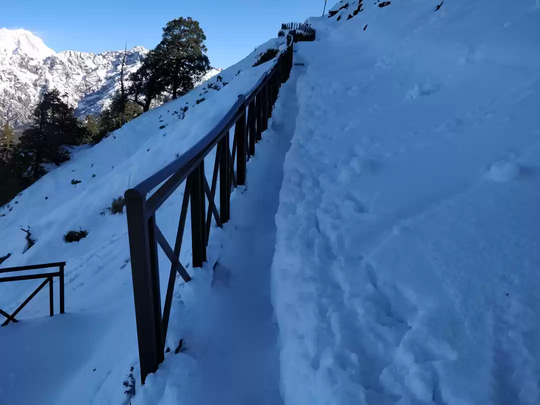chopta tour package