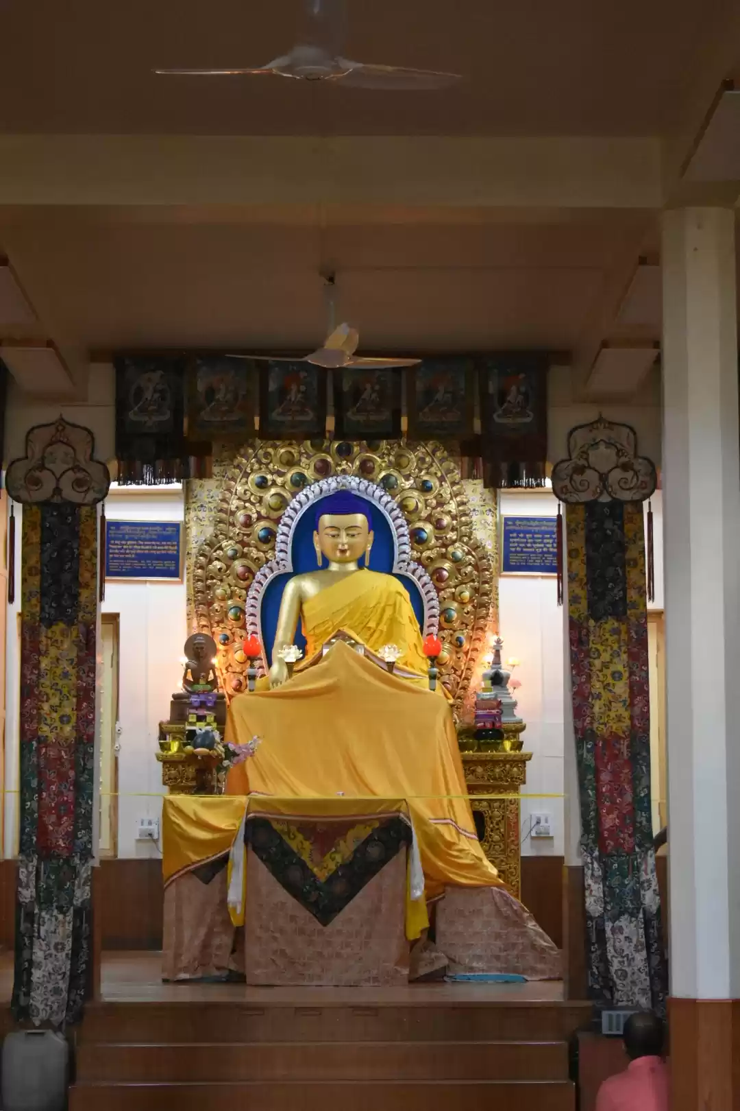 Photo of Wandering on the str