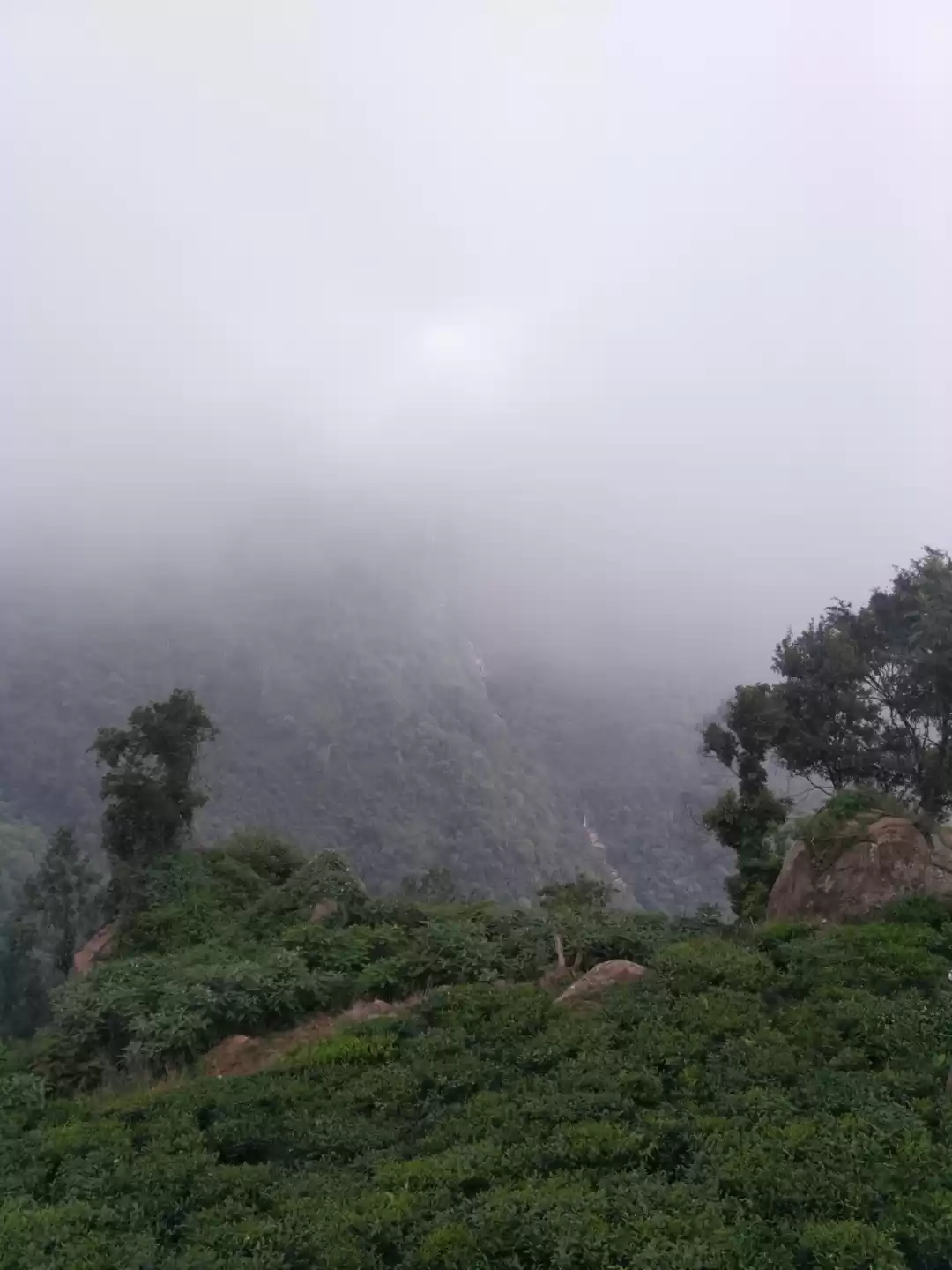 Photo of Tour to the 'Queen O