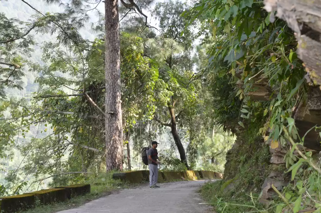 Photo of Gomukh, Tapovan - Su