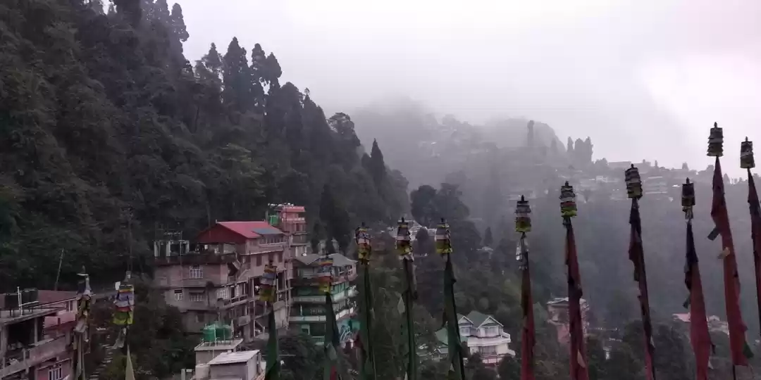 Photo of Darjeeling - queen o