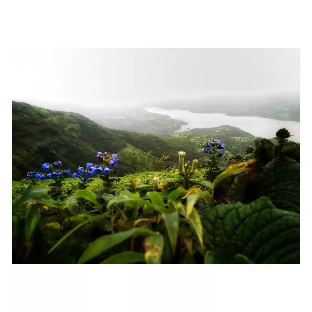 Photo of When Google showed u