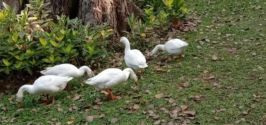 Photo of Amazing Hyderabad ❤