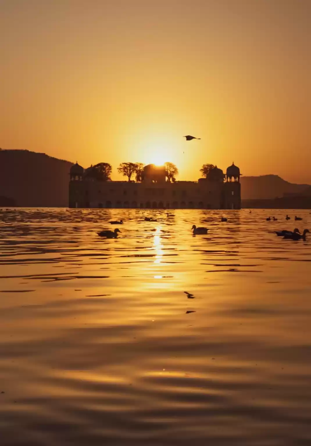 Photo of Jal Mahal, Jaipur