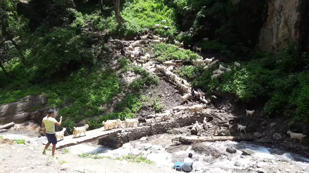 Photo of Mini Israel- Kasol