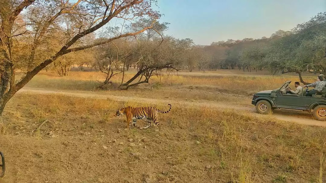 Photo of With a count of 67 t