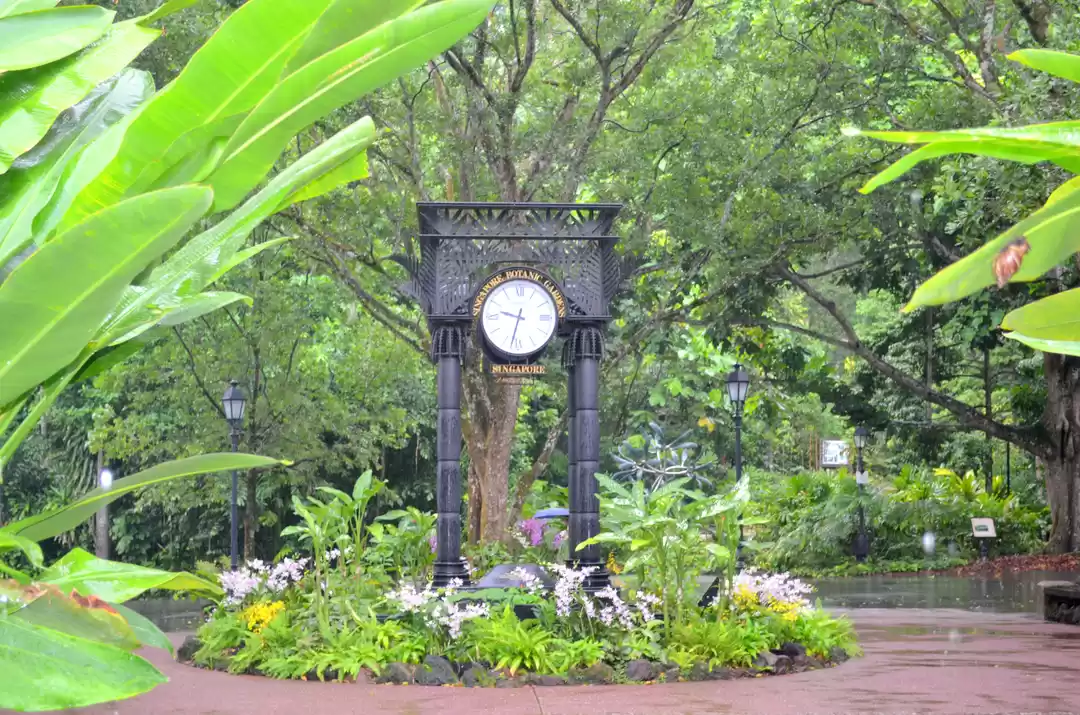 Photo of Botanic Gardens @ Si
