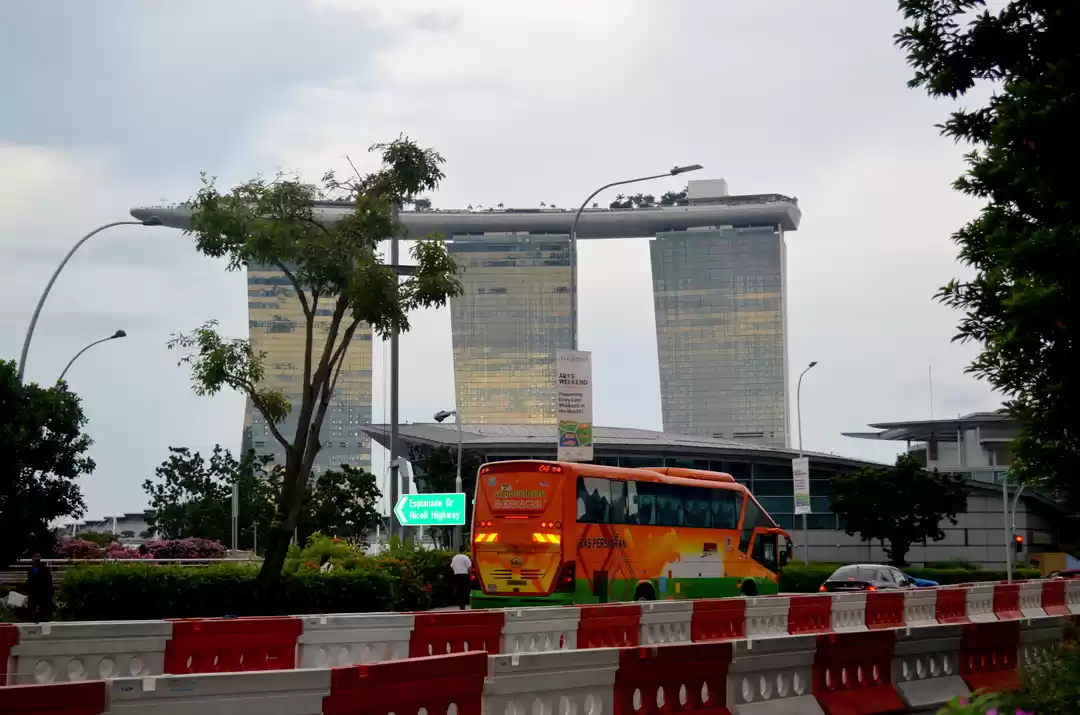 Photo of Singapore - A Lion c