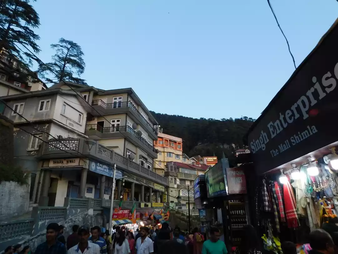 Photo of Fruits of Shimla & S
