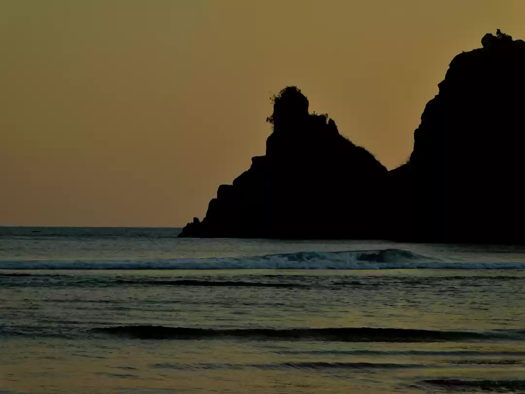 Photo of The Last but not the