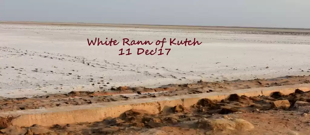 Photo of Rann of Kutch