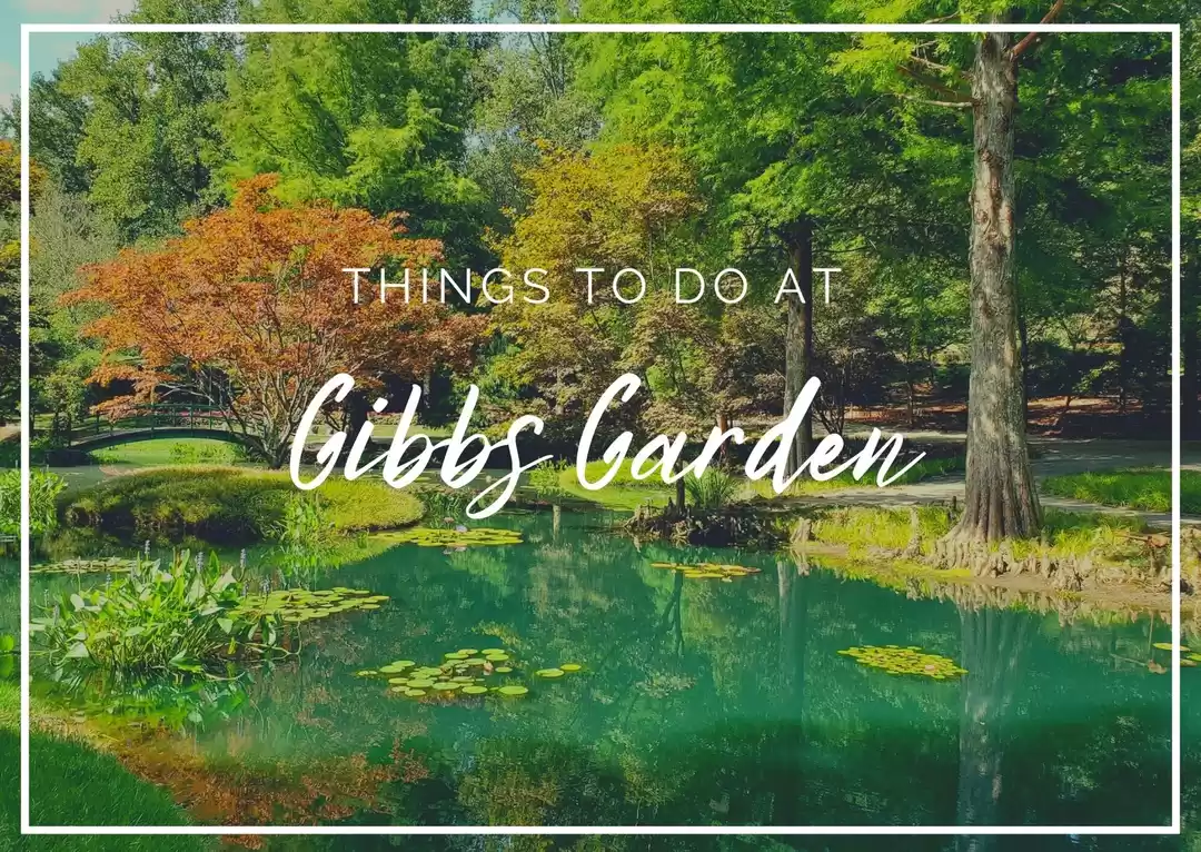 Photo of Things to do at Gibb
