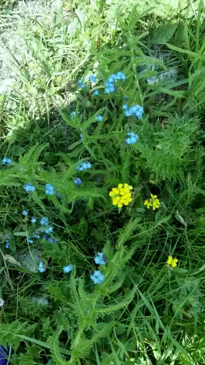 Photo of Destination Kinnaur