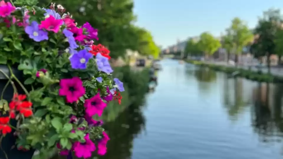 Photo of 48-72 hours in Amste