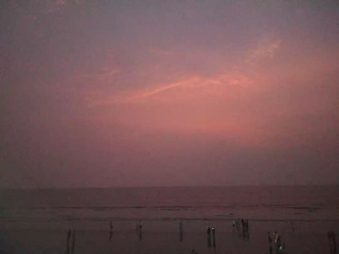 Photo of A hidden gem of guja