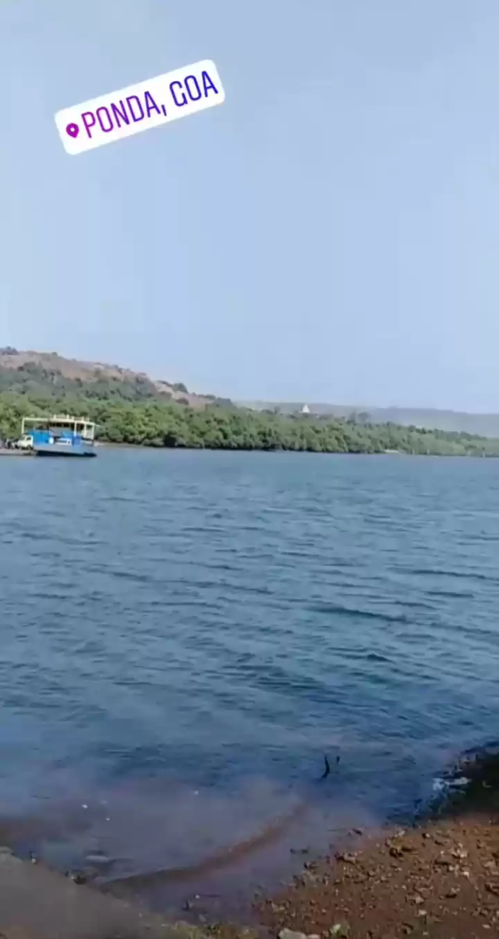 Photo of Even Google Map Make