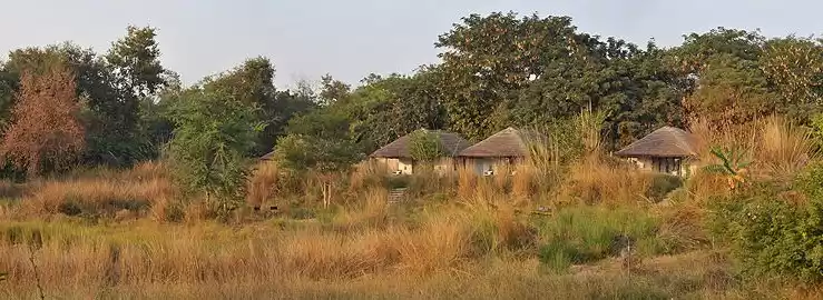 Photo of This Luxury Jungle C