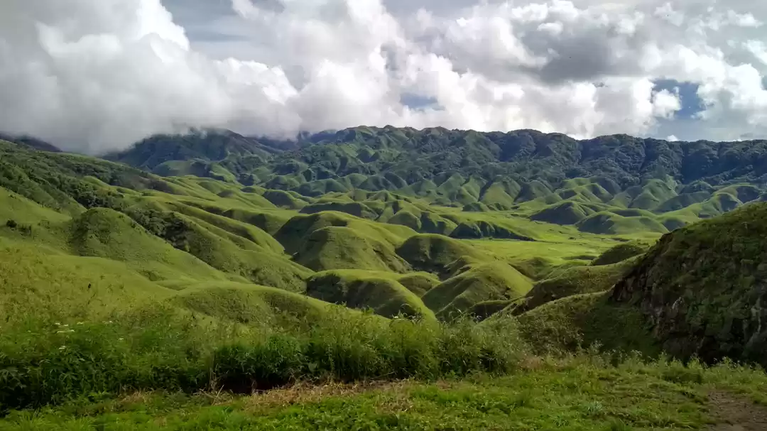 Photo of Dzukou Valley : Gala