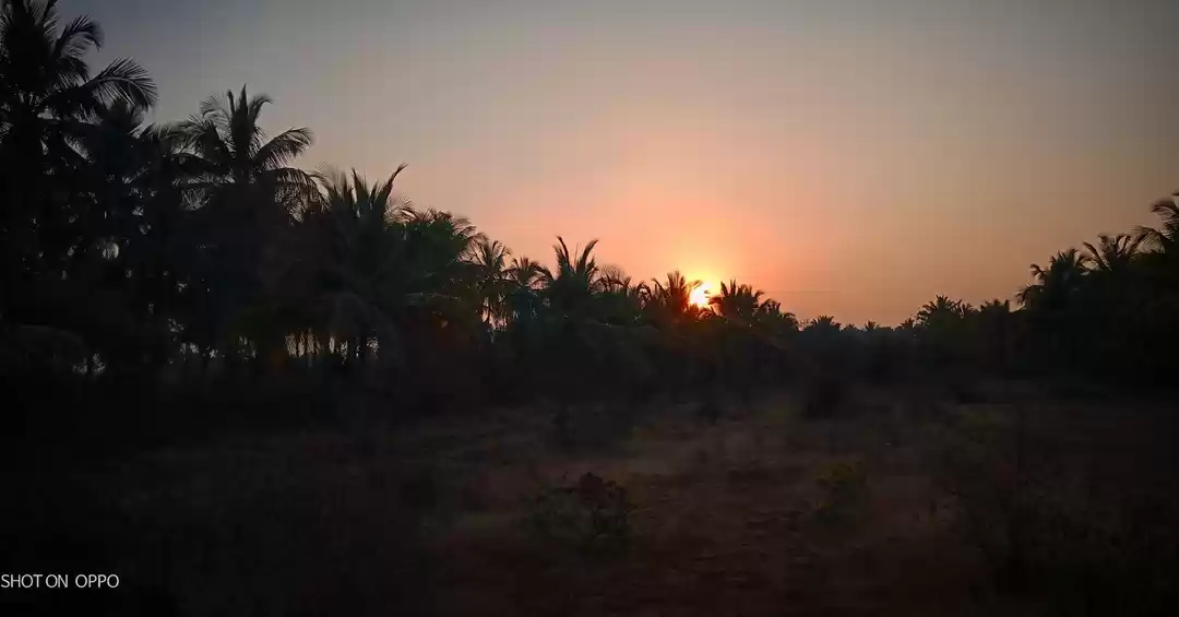Photo of Sun rise