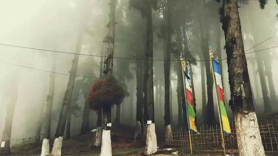 Photo of Lepcha jagat:Happine