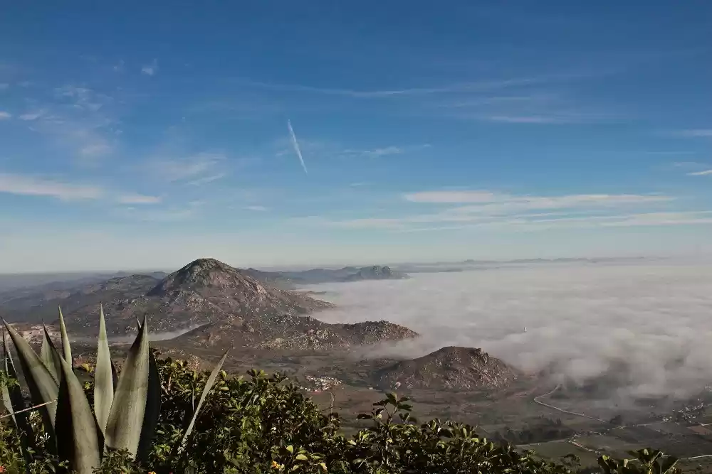 Photo of Bangalore's heaven: 