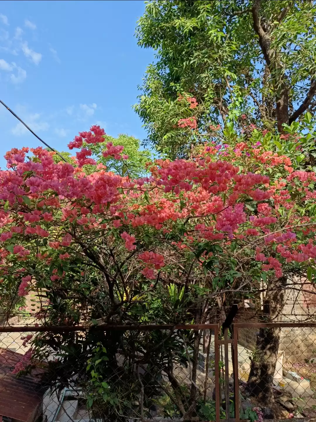 Photo of Rooben Madia