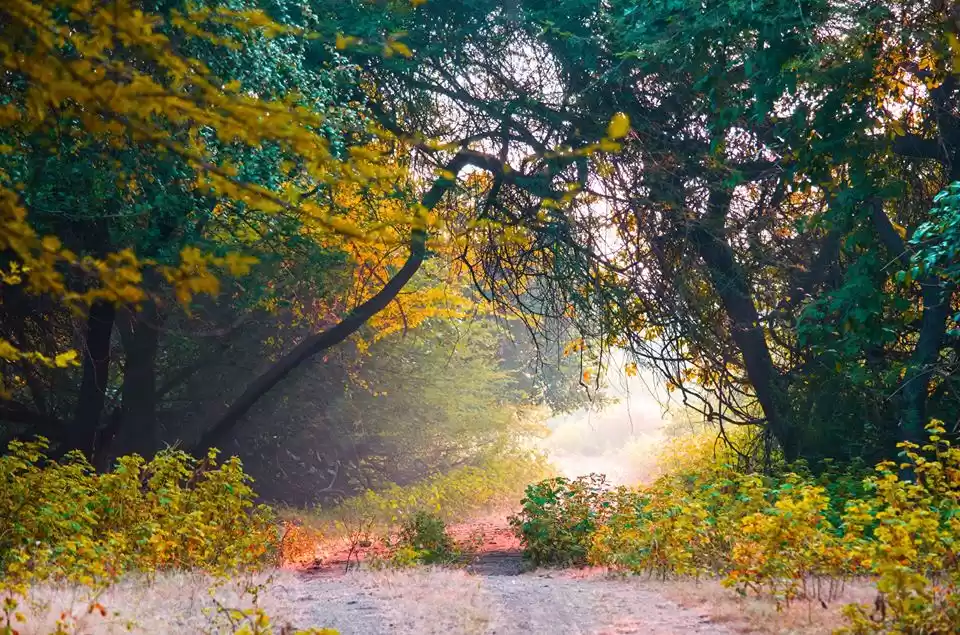 Photo of Chasing Sunsets: A W