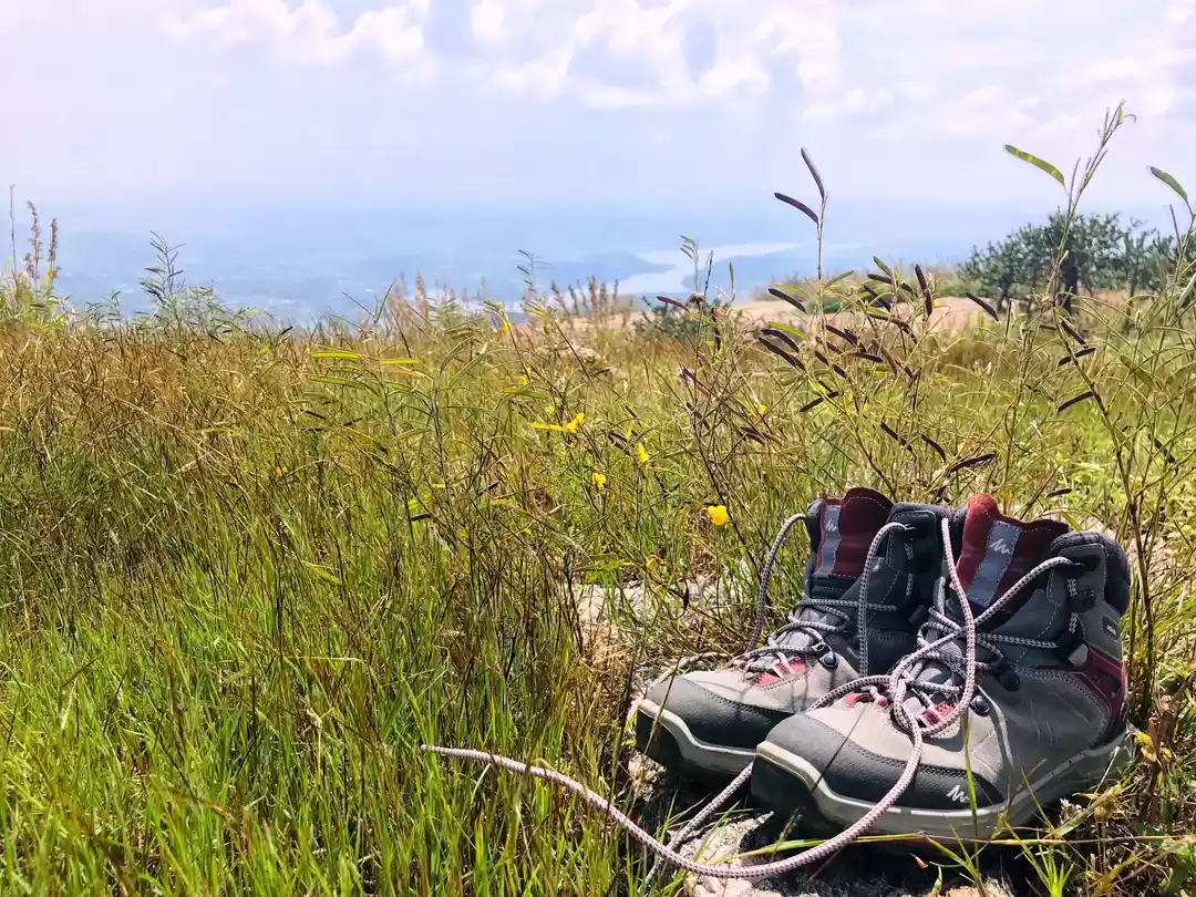 Photo of A Thrilling trek to 