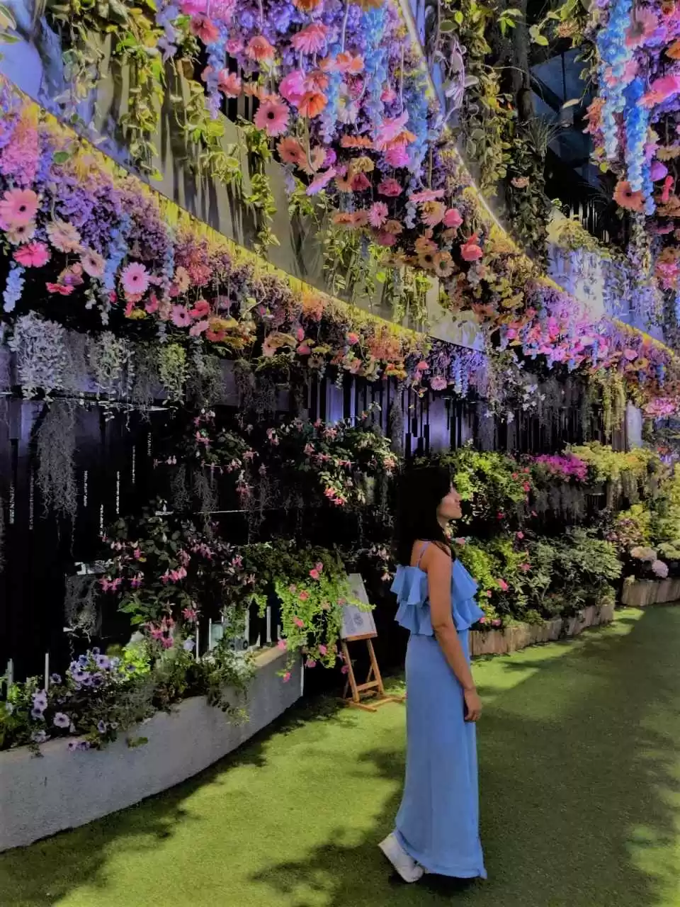 Photo of Must see Instagramma