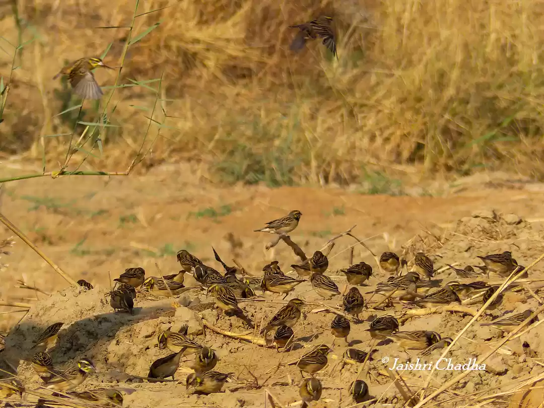 Photo of Light up your day wi