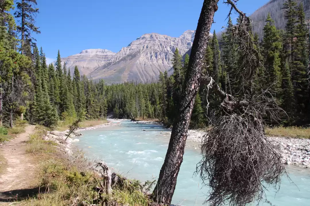 Photo of Roadtrip Western Can