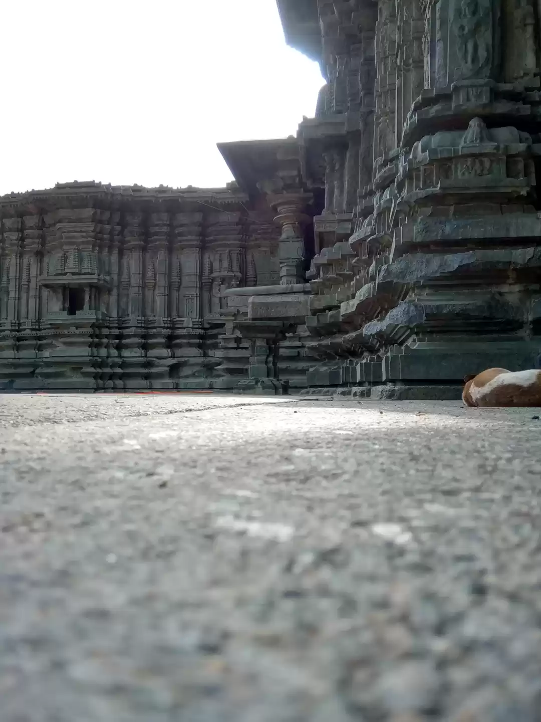 Photo of Thousand pillars tem