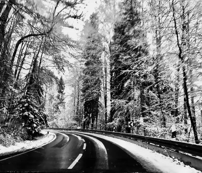 Photo of The ultimate guide t