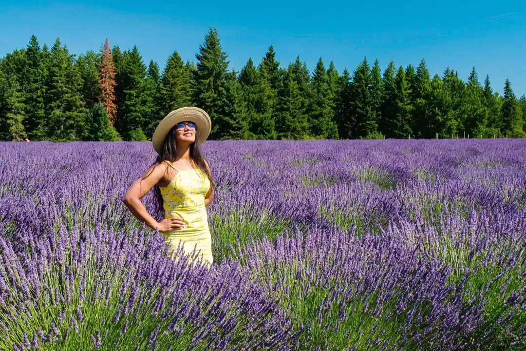 Photo of Oregon- Home Away Fr