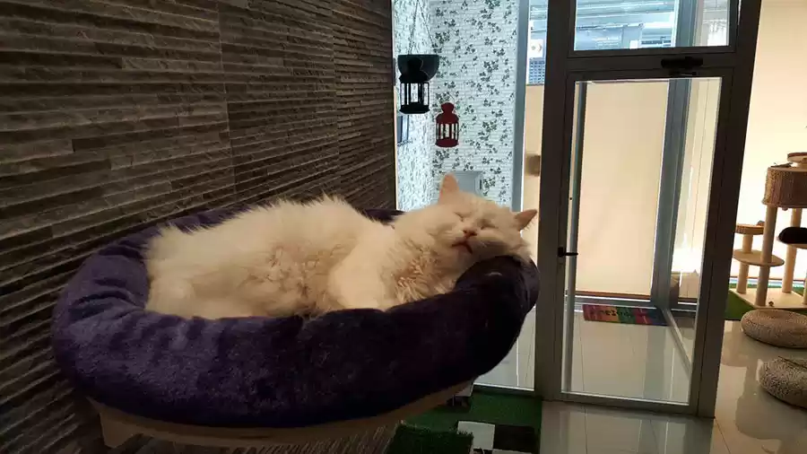 Photo of Welcome to the first