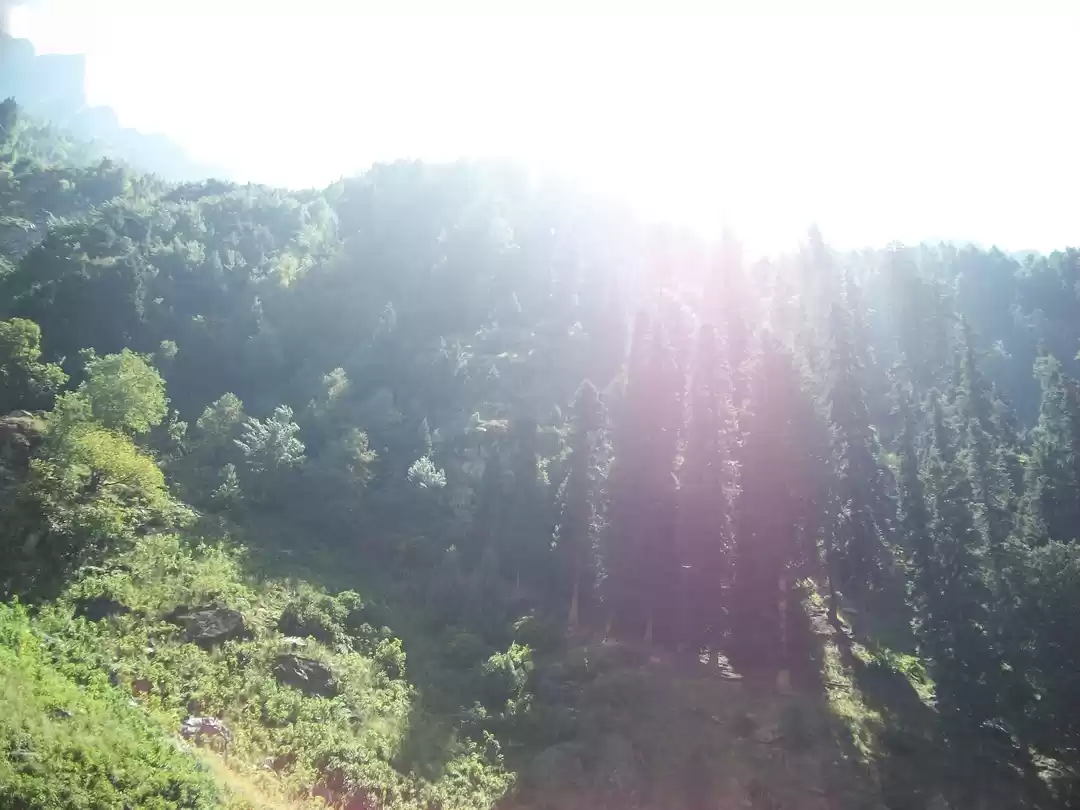 Photo of Queen Of Heaven " Ka