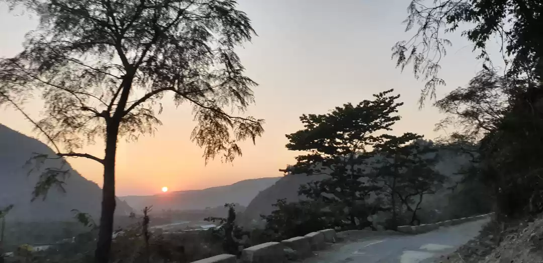 Photo of sweetpoision 