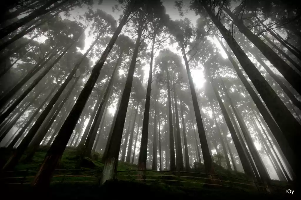 Photo of Living the Summer Va