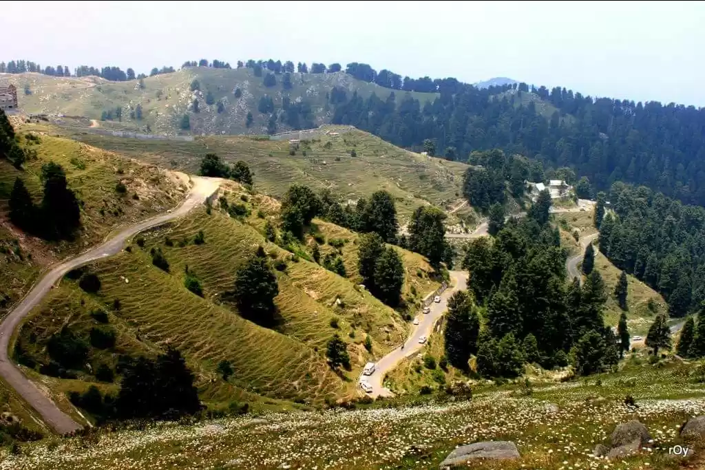 Photo of Hogging through Hima