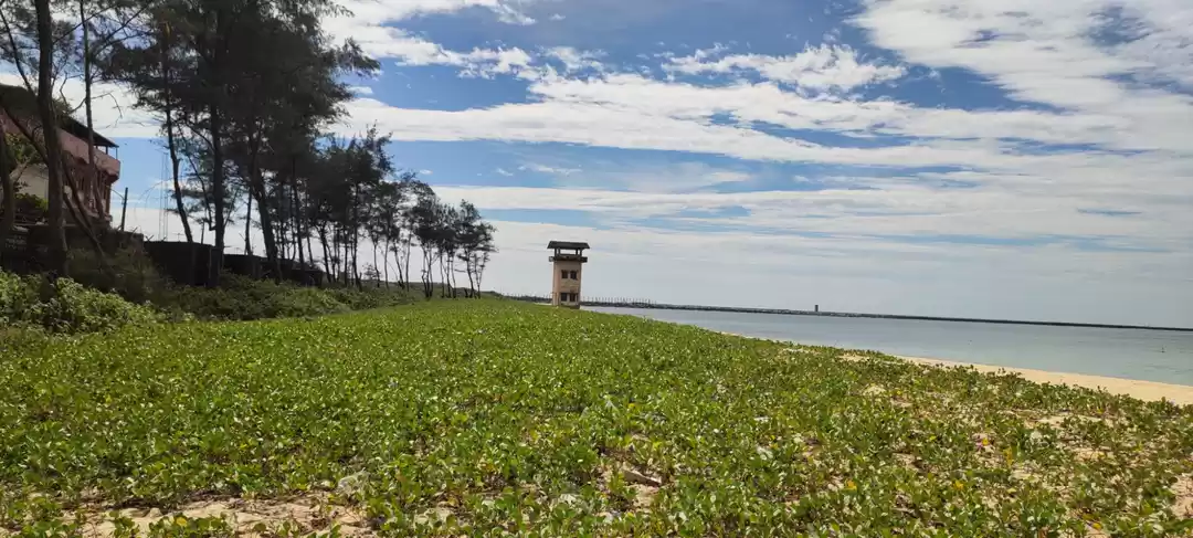 Photo of Mangalore, panambur 