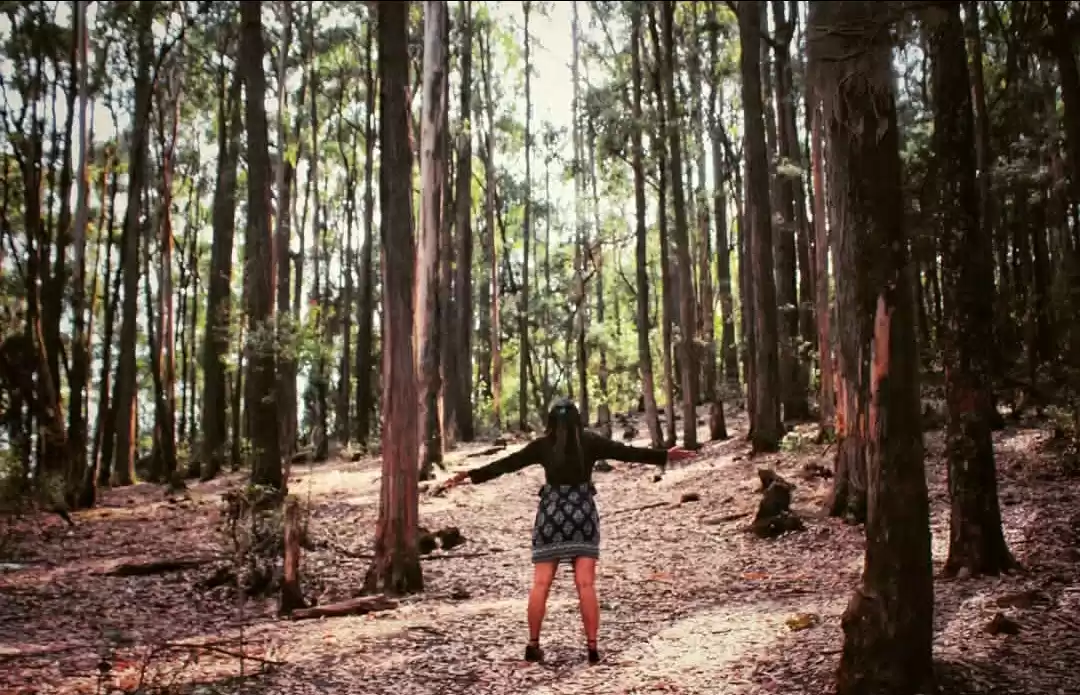 Photo of A Solo Traveler's Ma