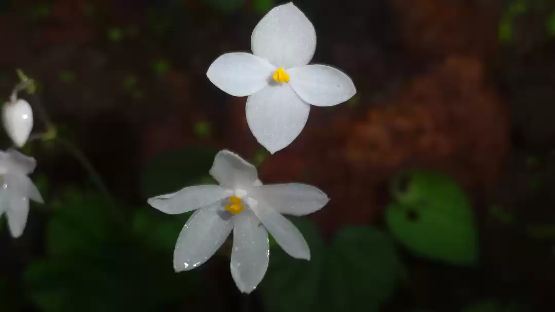 Photo of My travel story - An