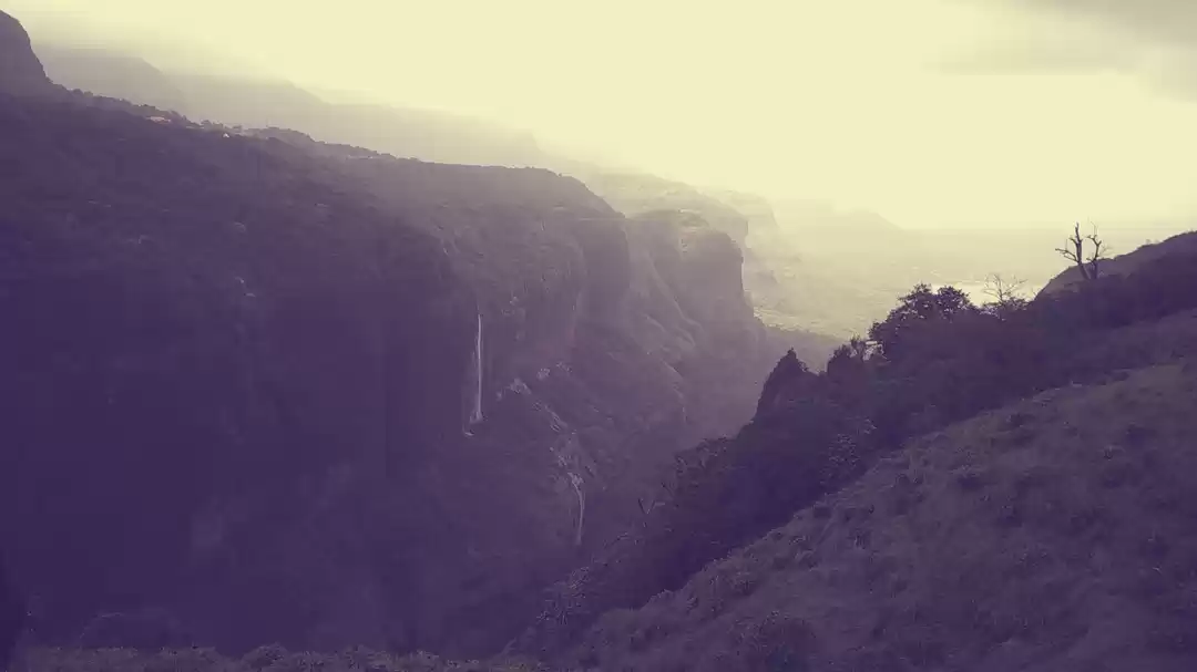 Photo of Jungle Book (Andharb