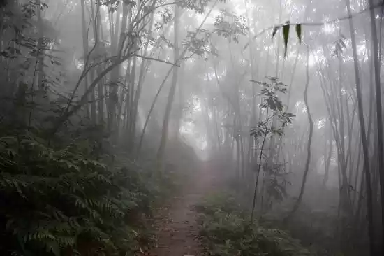 Photo of Ba Vi National Park 