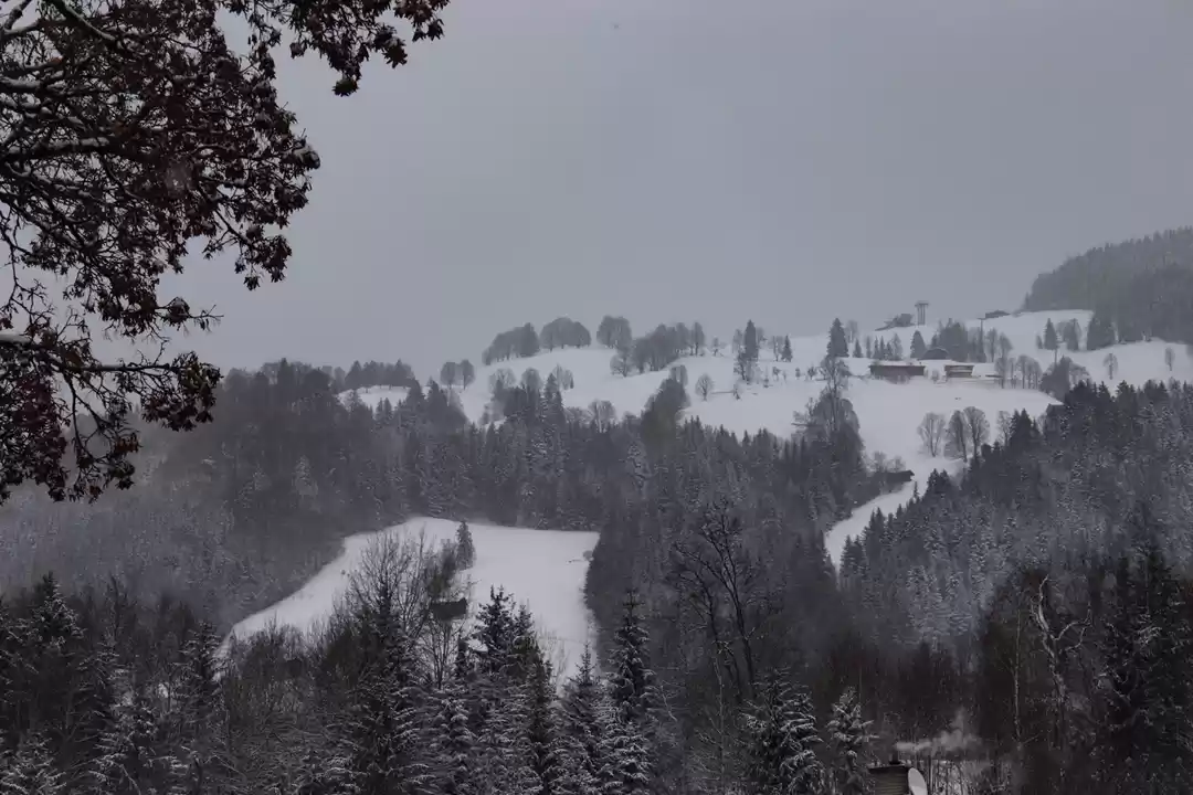 Photo of Start of a new year 