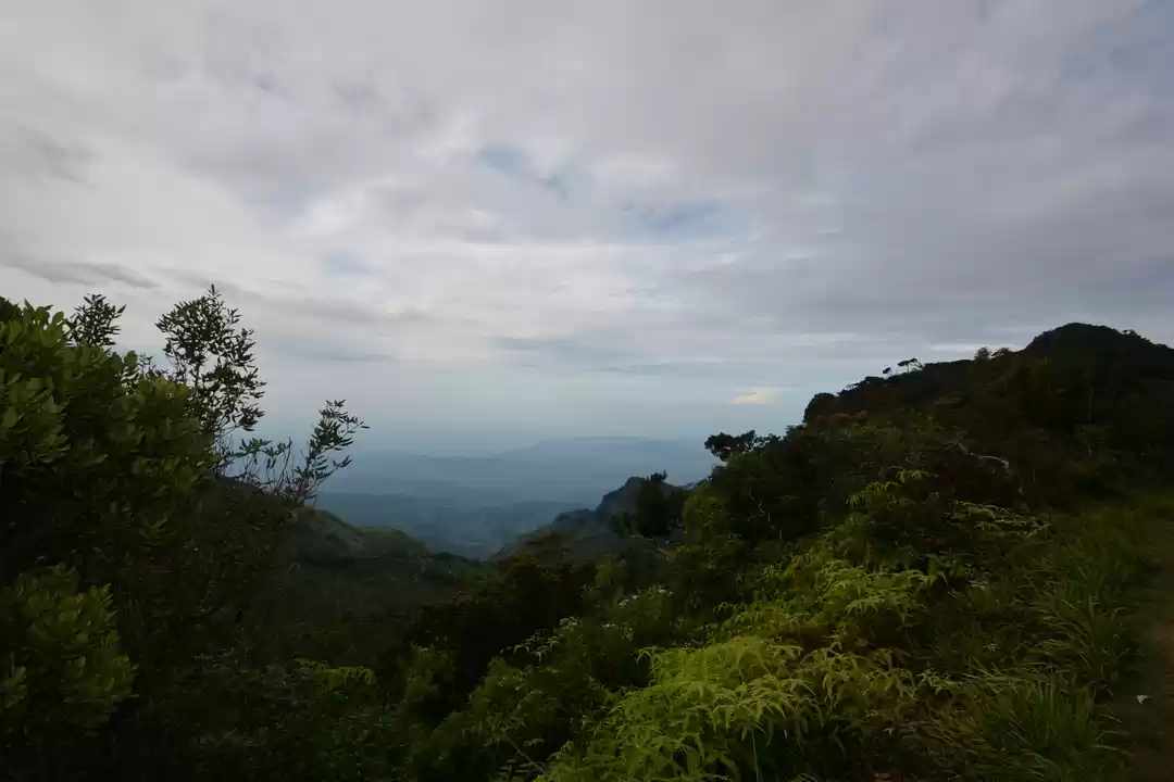 Photo of Srilanka - An Unruff