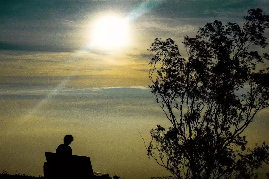 Photo of A beauty of karnatak