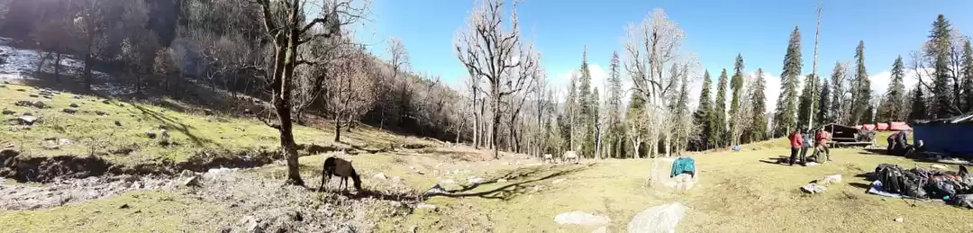 Photo of Kedarkantha Trek - A